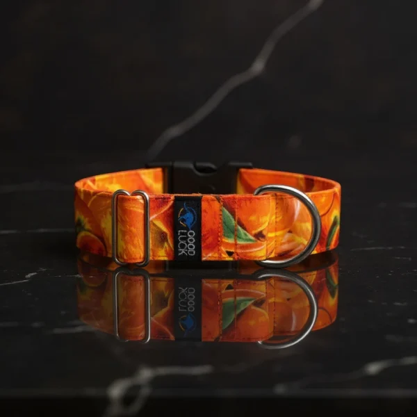 COLLAR SHIRO BELLINI - Imagen 4