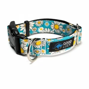 COLLAR SHIRO TOSCANA